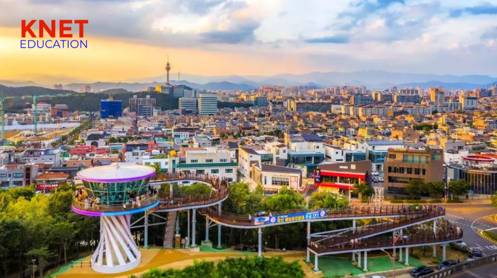 Hình ảnh minh họa khu vực Daegu tại Hàn Quốc